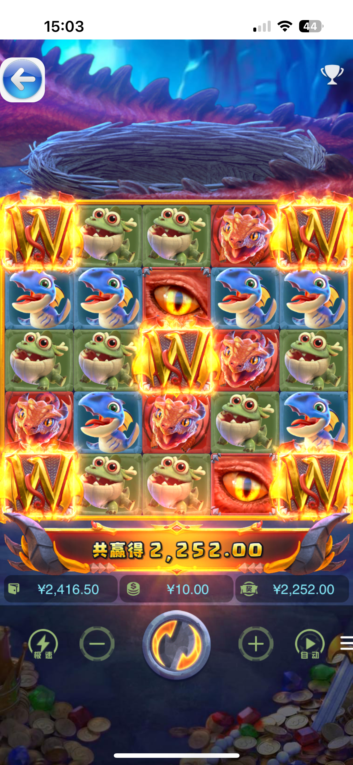 IMG_8333.png